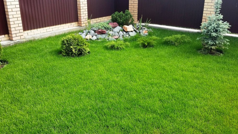 Трава на даче вместо газона