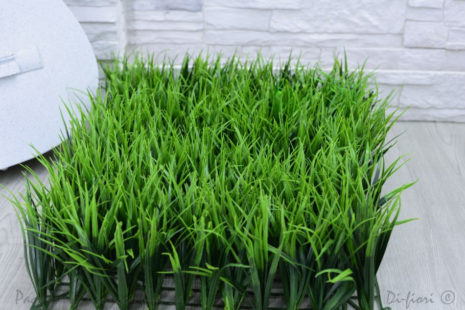 Райграс семена газона