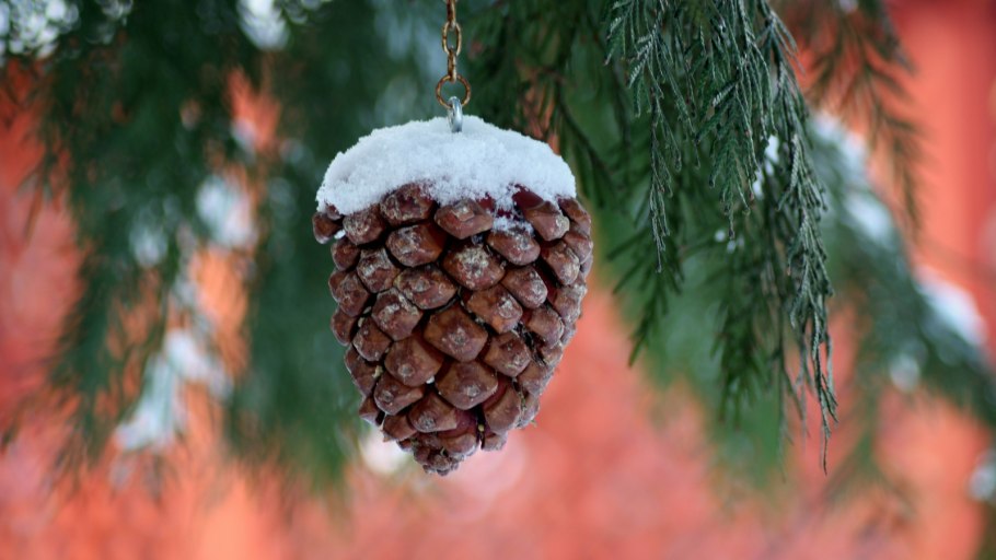 Новогодние шишки на елку