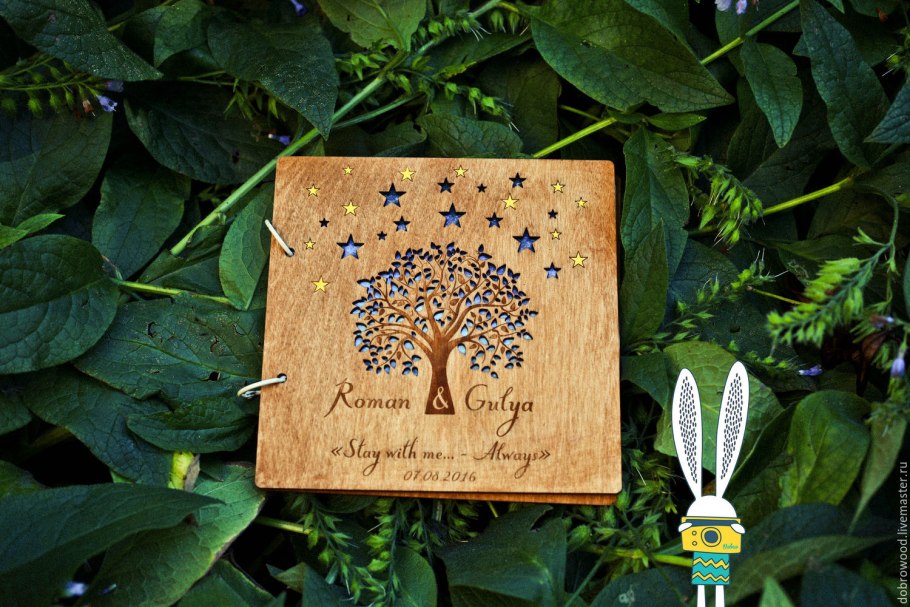 Сосна румелийская шишки