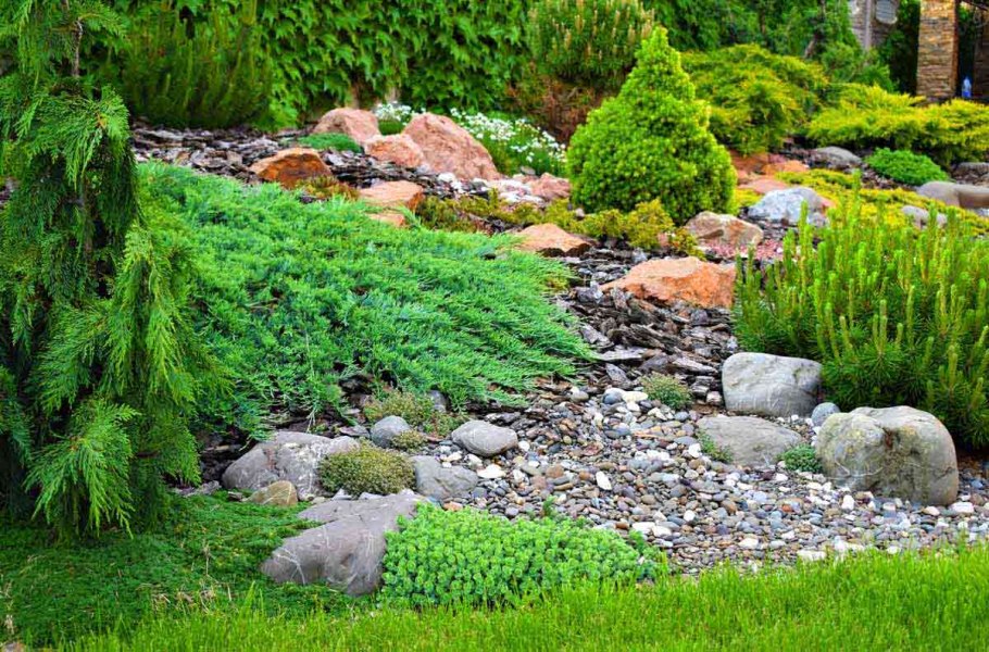 Рокарий горный ручей