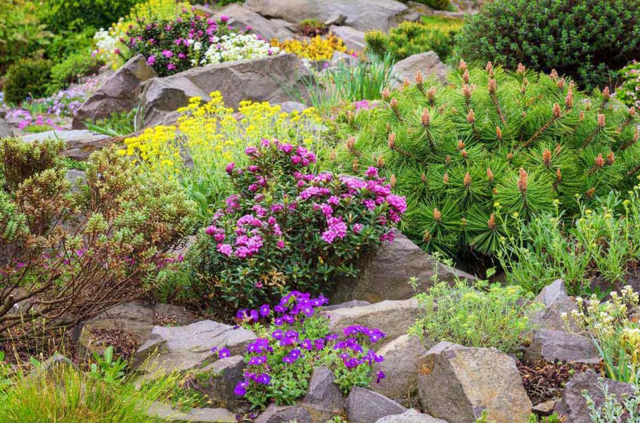 Евгений Тарасов альпинарий