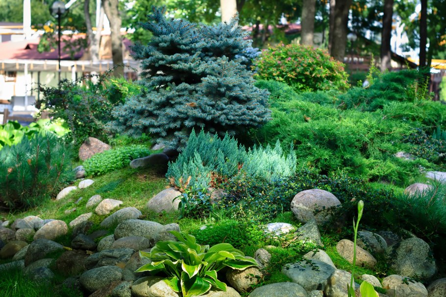 Обриета на альпийской Горке