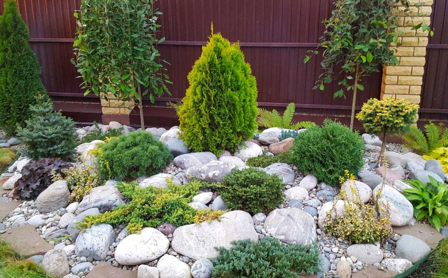 Рокарий с туями