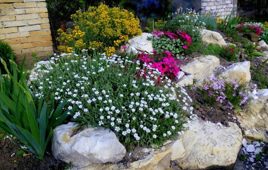 Клумба горка Альпийская петунья