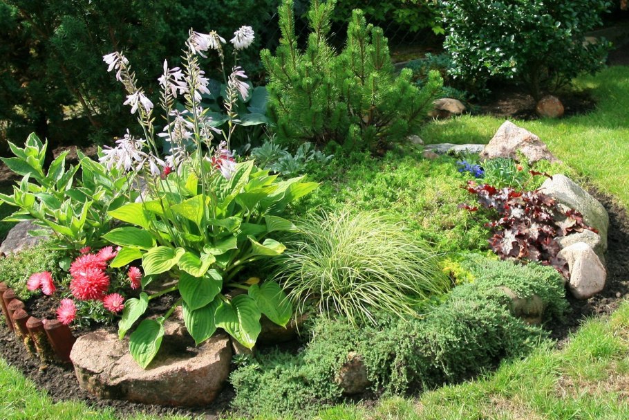 Флокс шиловидный в рокарии