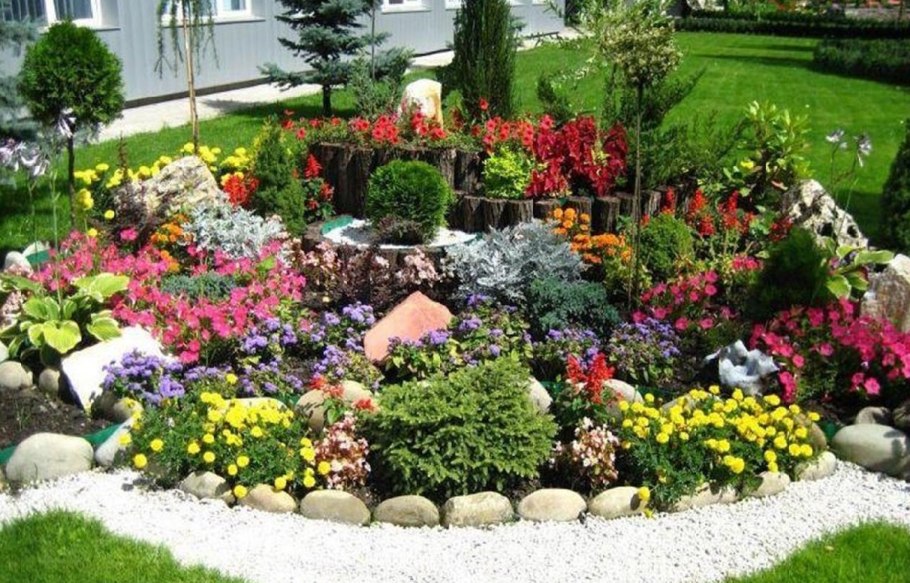 Бадан Байкальский рокарий