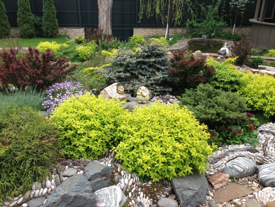 Можжевельник казацкий альпинарий