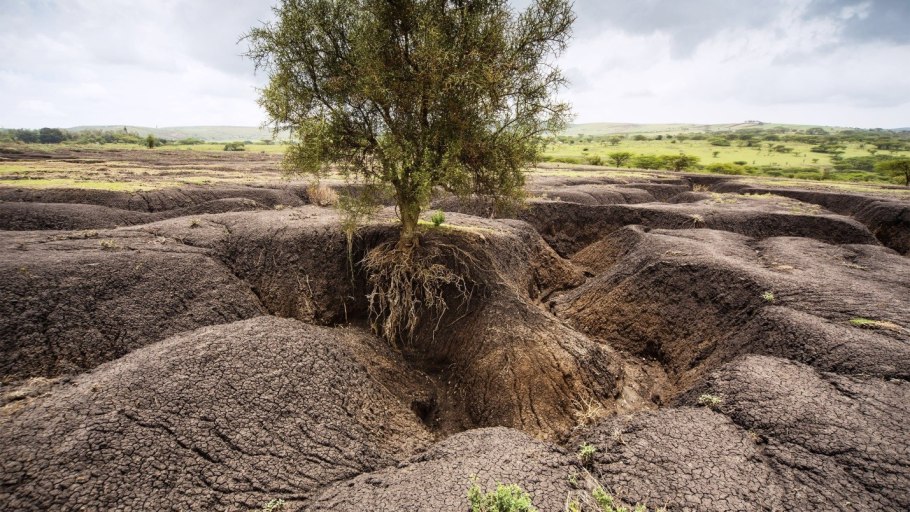 Деградация почв