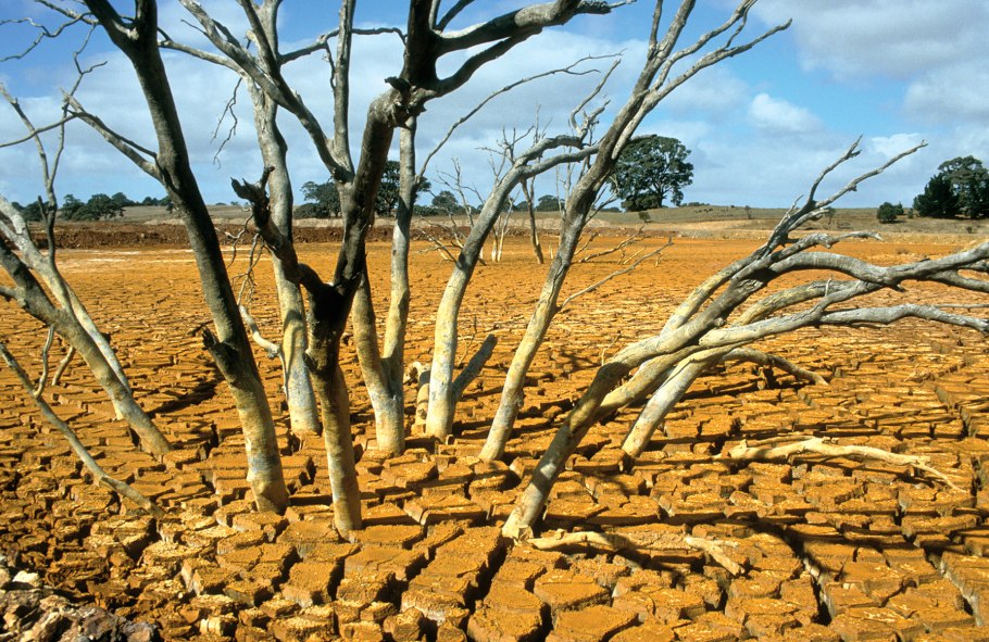 Засаливание почвы