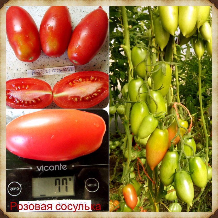 Брелок-пейджер Mongoose LS 9000d