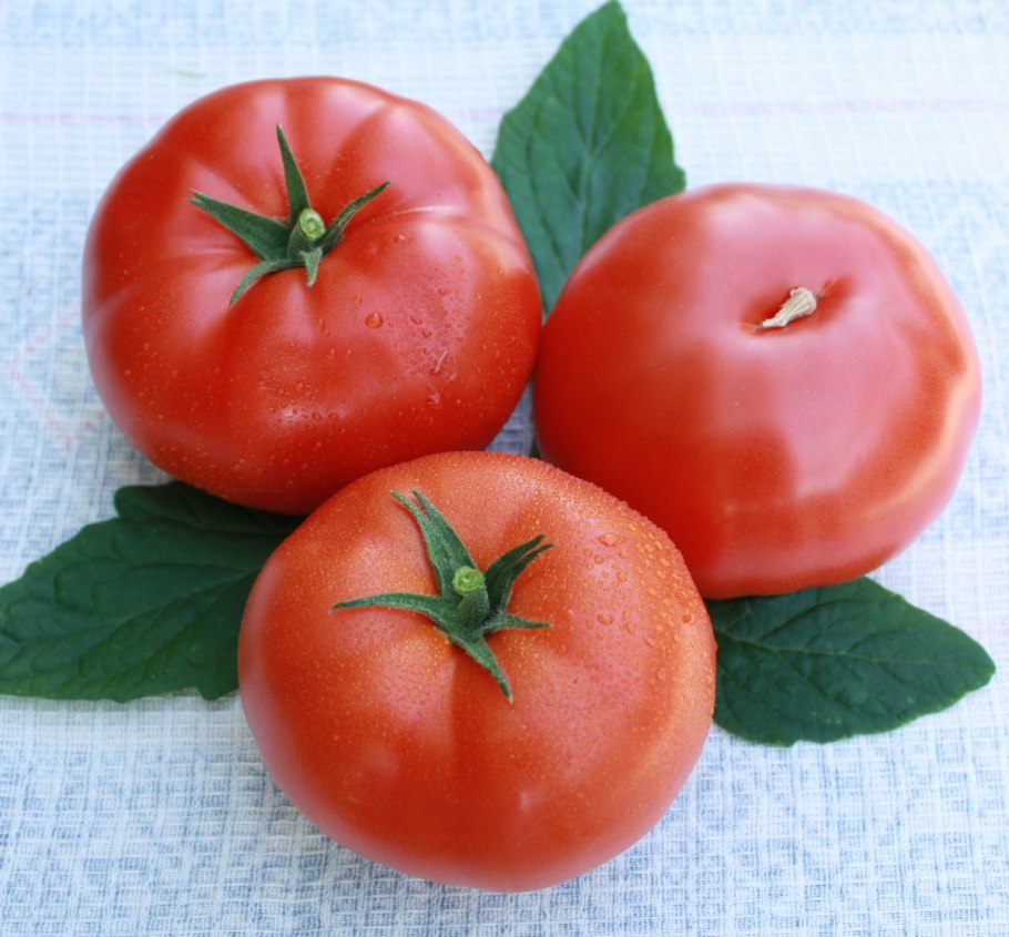 Томат герцогиня вкуса