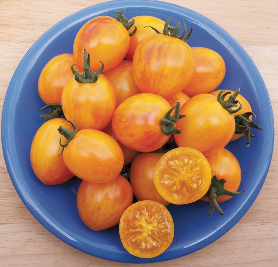 Томат санрайз