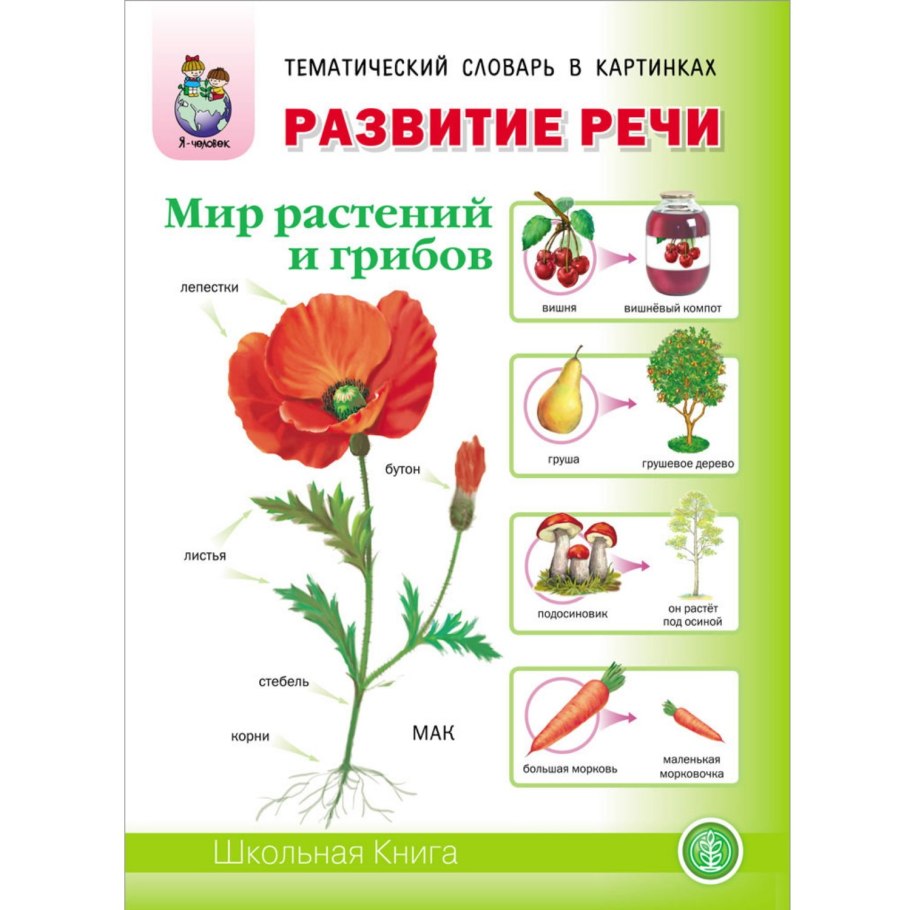 Строение растения