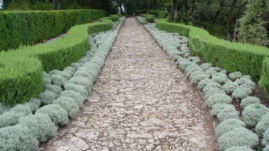 Клумба, Солитер, бордюр…