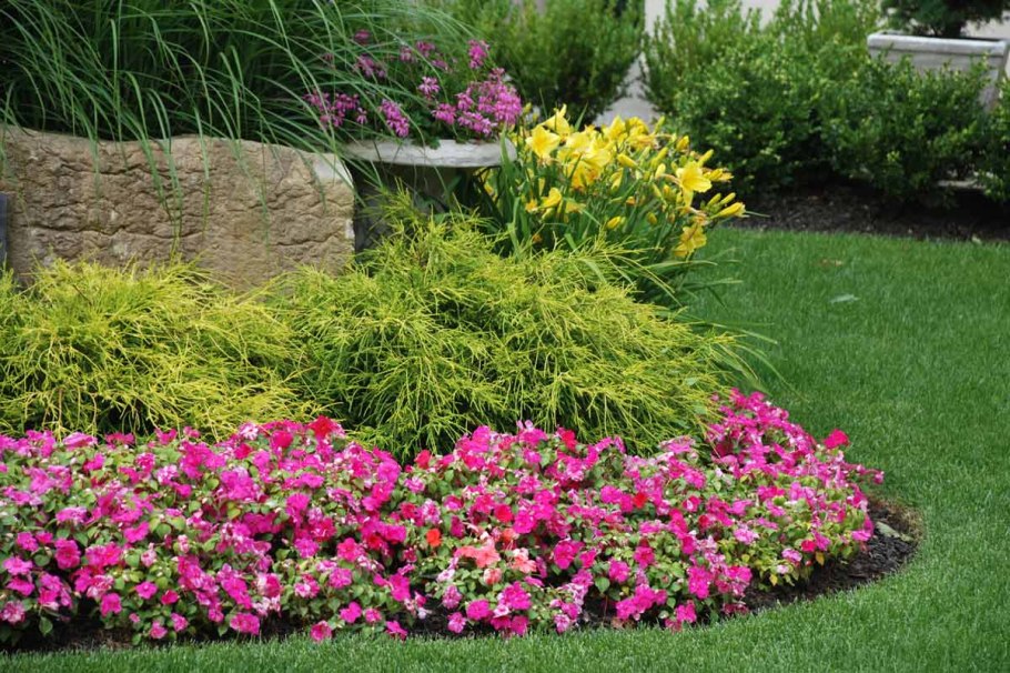 Сантолина Изумрудная