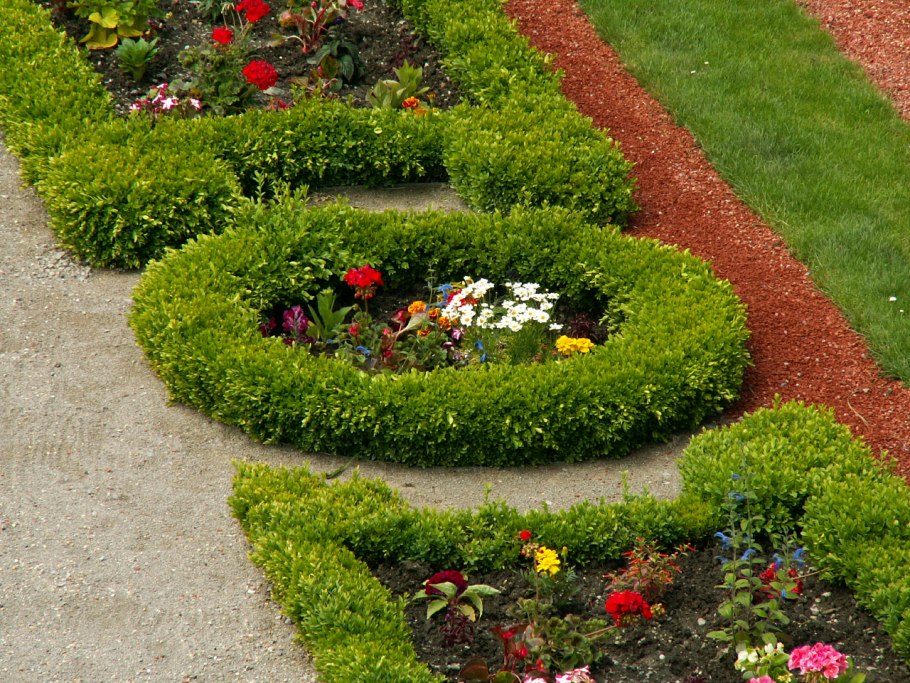 Флокс шиловидный рокарий