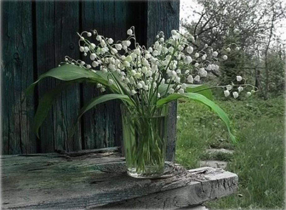 Ландыши небо