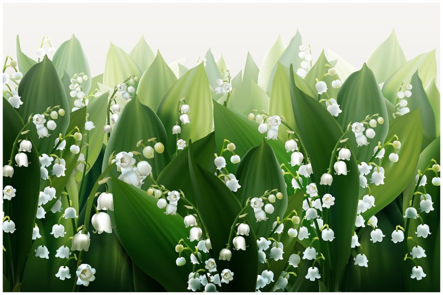 Ландыши в росе