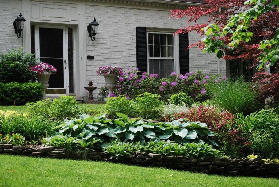 Хоста Моерхейм в ландшафтном дизайне