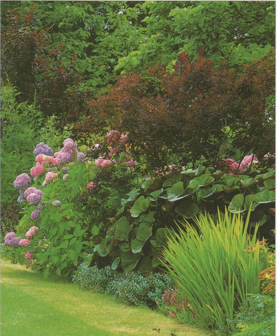 Стиль натургарден в ландшафтном