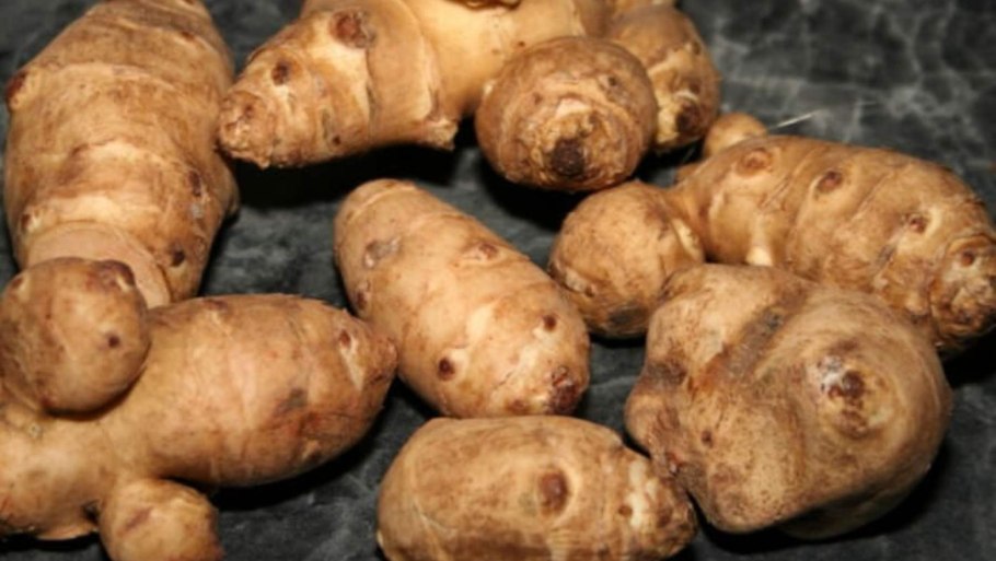 Топинамбур пребиотик