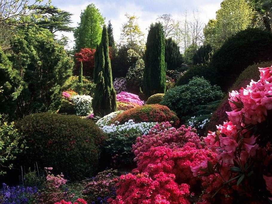 Розарий Дендрарий