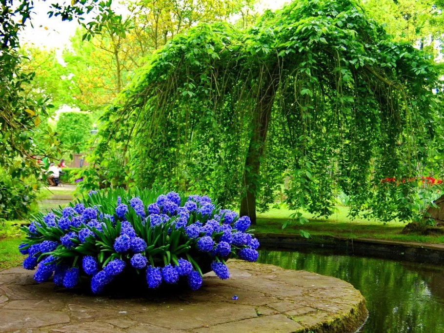 Партер ландшафт