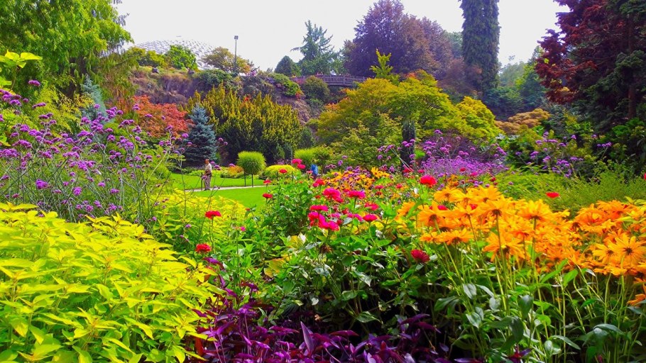 Ботанический парк королевы Елизаветы