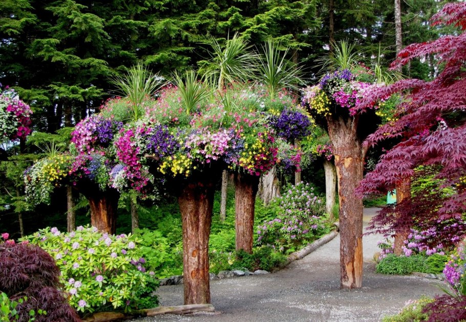 Растения ботанического сада