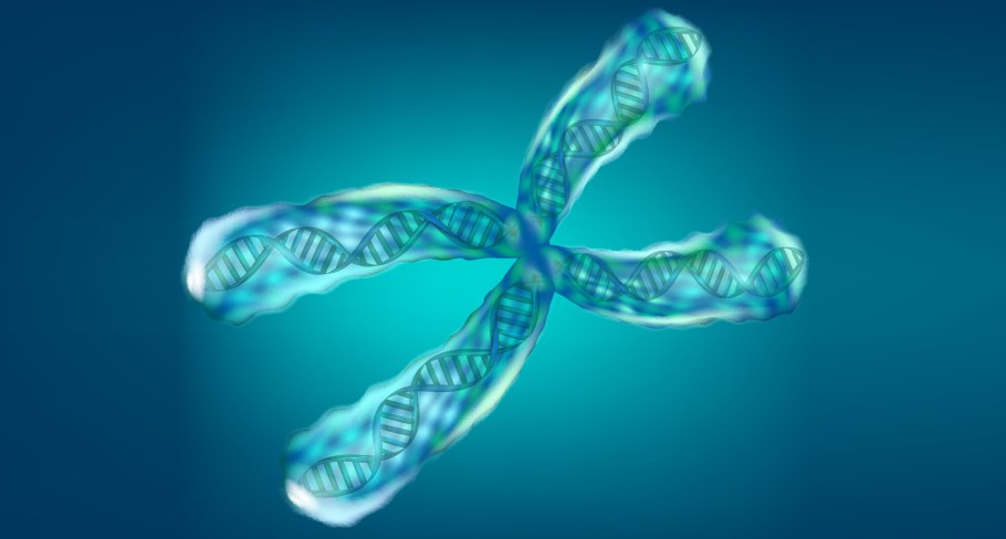 Корни папоротника асплениум Здоровые