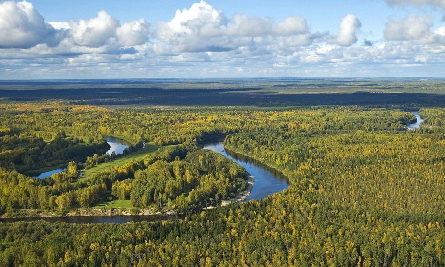 Подзона Северной тайги