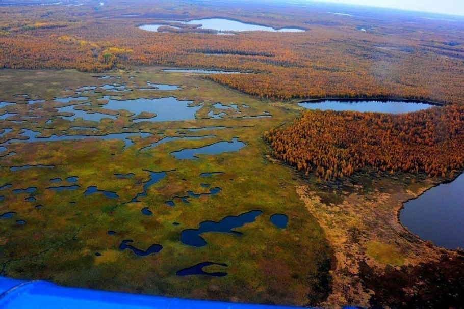 Полистовский заповедник Псковская