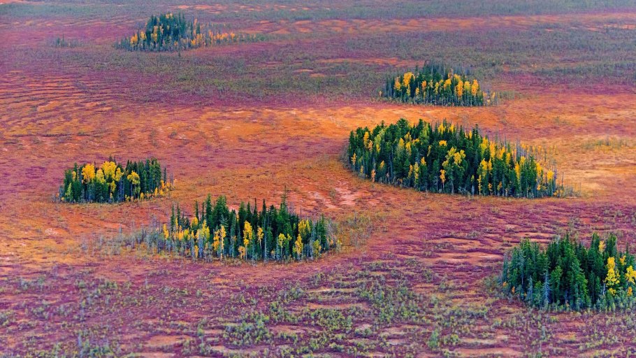 Нижневартовск природа