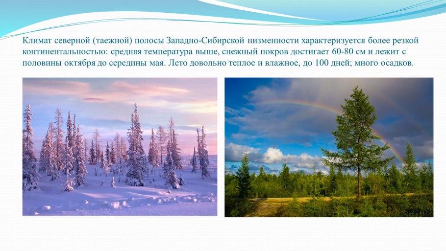 Бескрайние Сибирские просторы