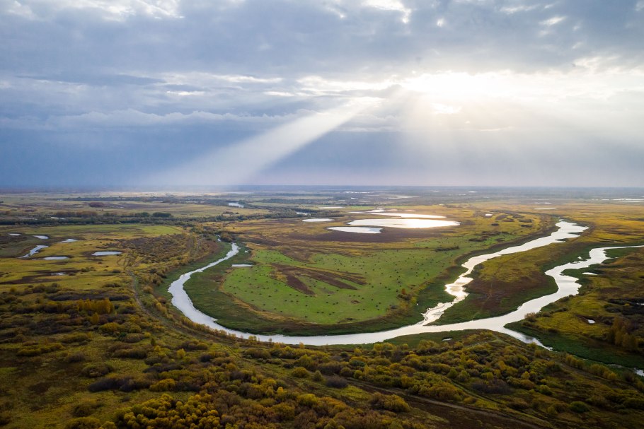 Западно-Сибирская низменность тайги