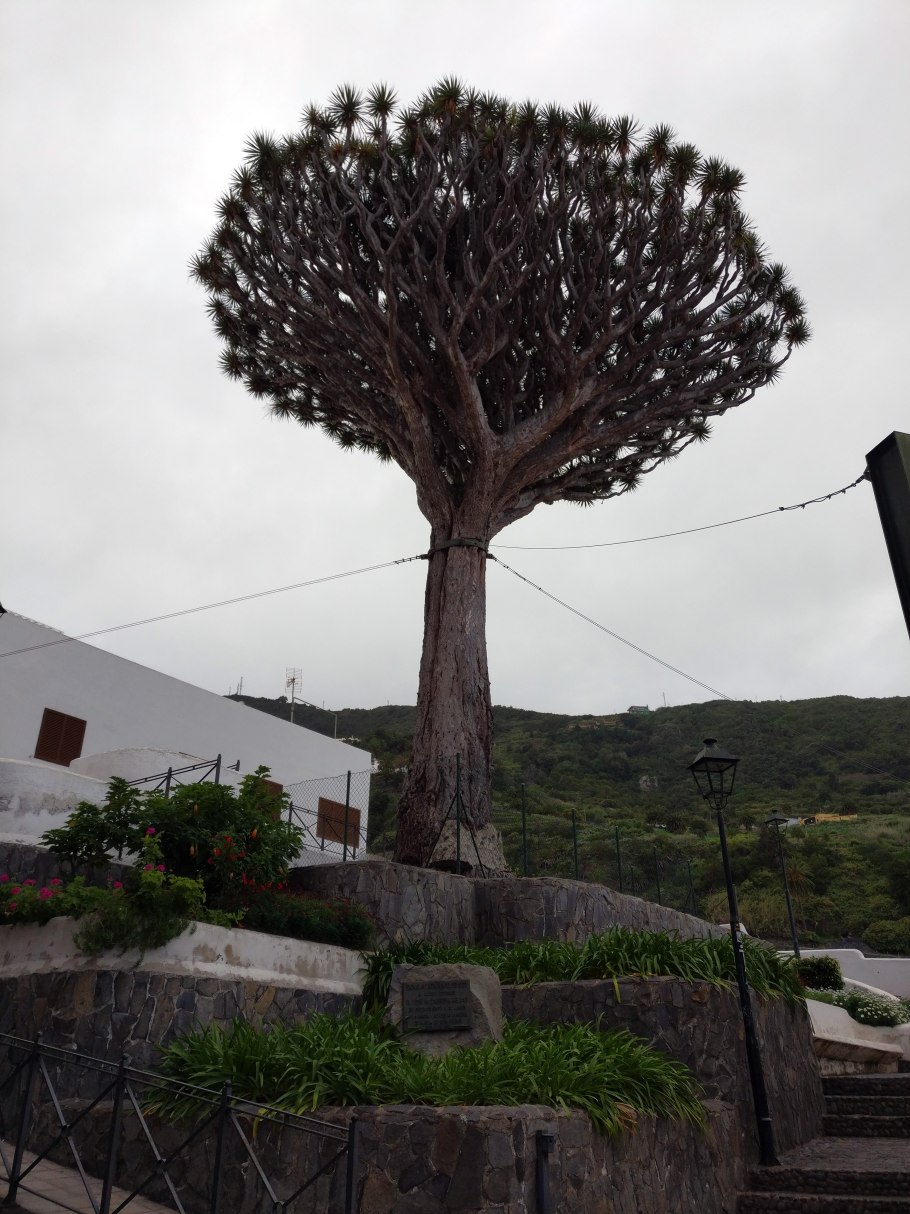 Бинарные деревья в Лос