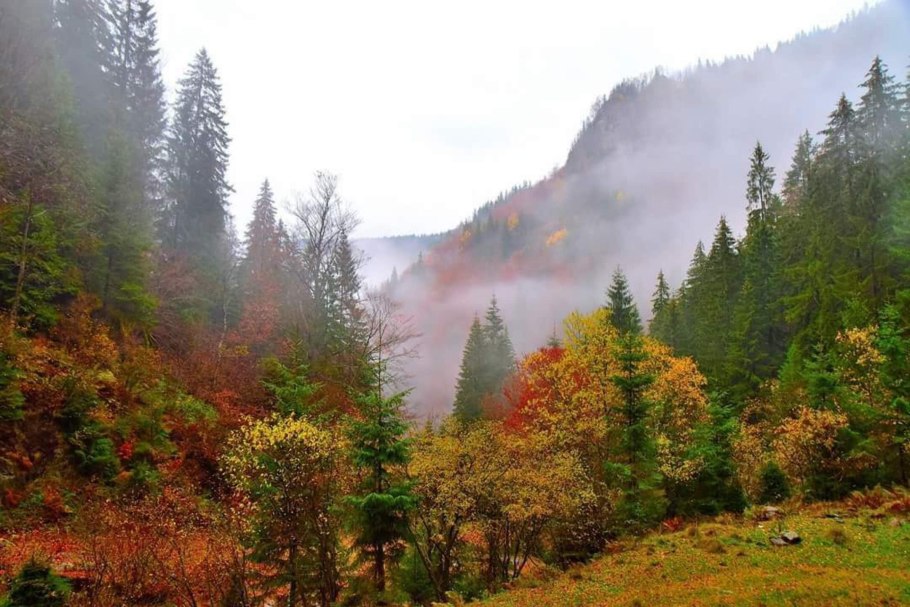 Северная Каролина Аппалачи