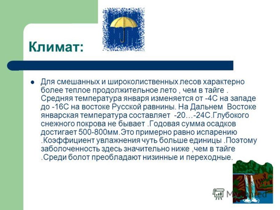 Теннесси национальный парк Грейт-Смоки-Маунтинс