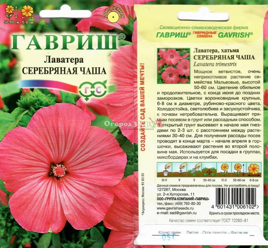 Гавриш лаватера Рубин