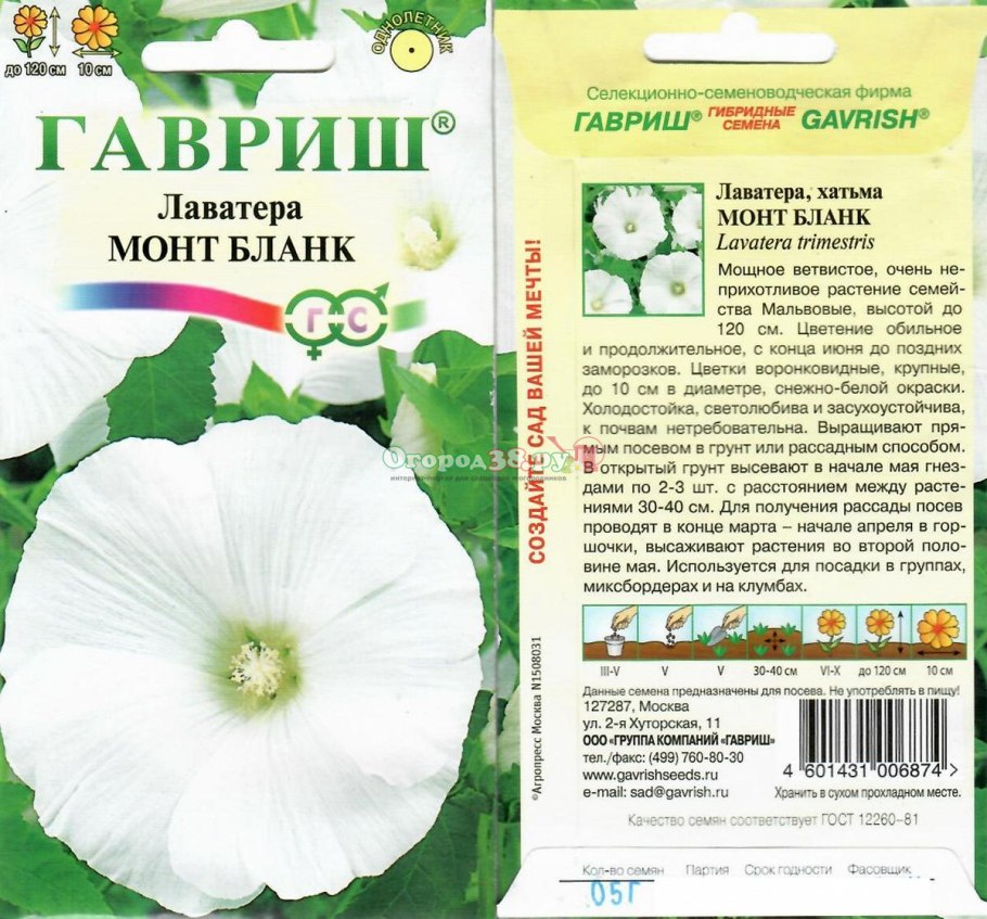 Гавриш лаватера Рубин
