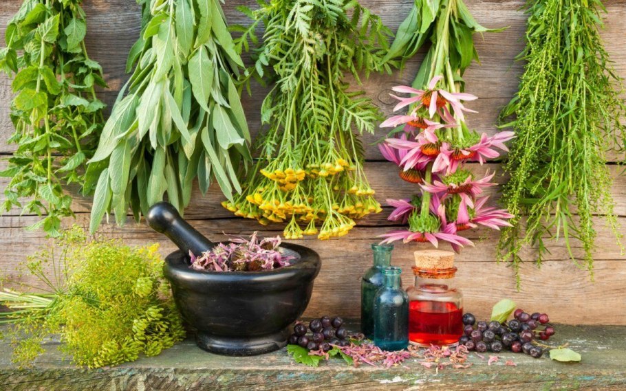 Анисовый мацерат