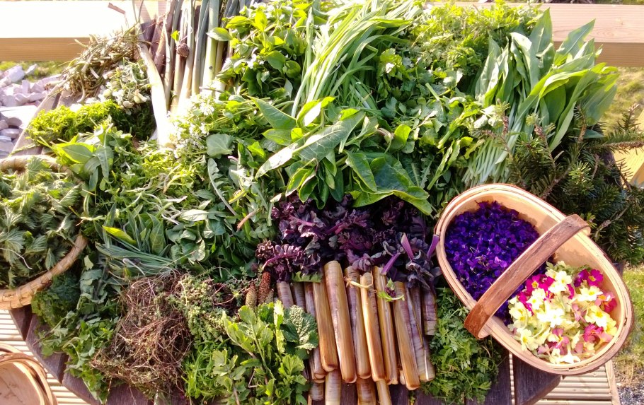 Горная пряная трава