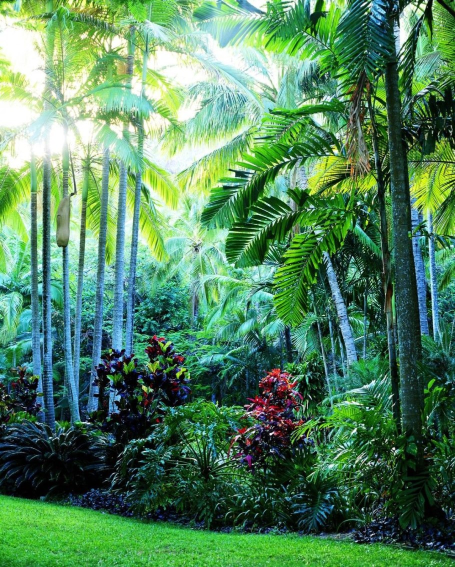 Раффлезия Арнольда хищник