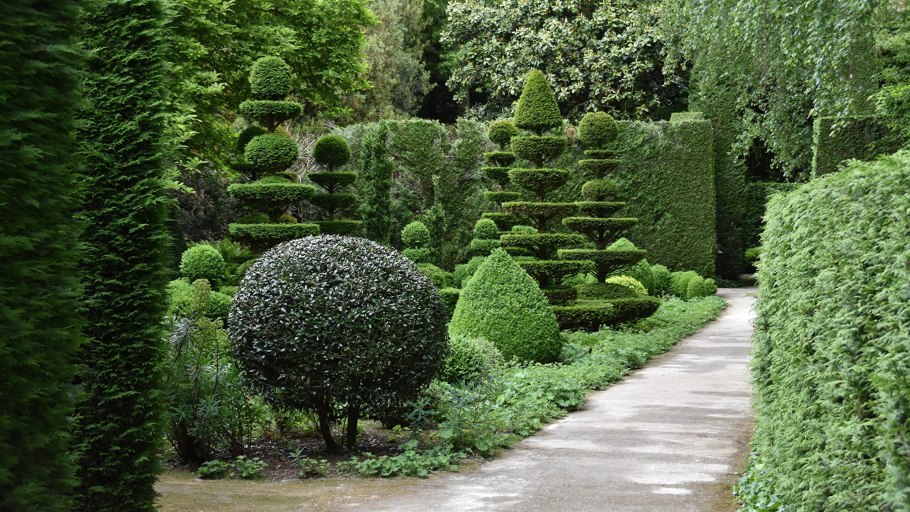Хвойно Вересковый миксбордер