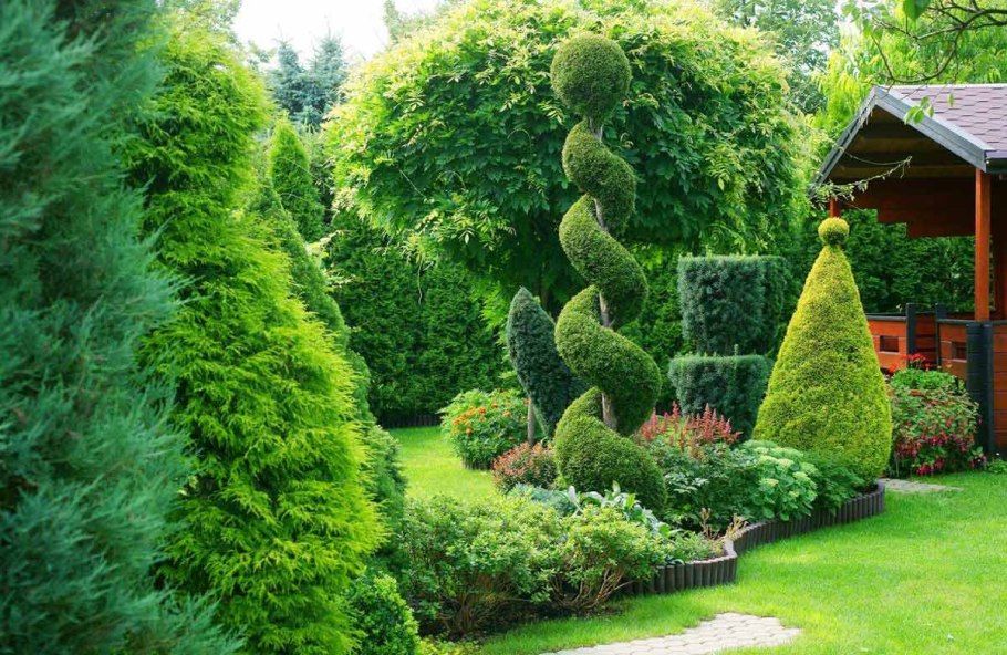 Туя Смарагд в ландшафте