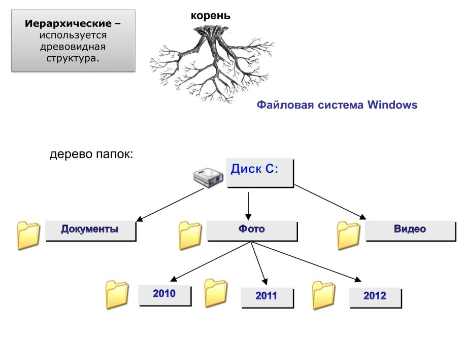 Схема пищевой сети Лесной экосистемы (по и.а. Шигареву, 1995)