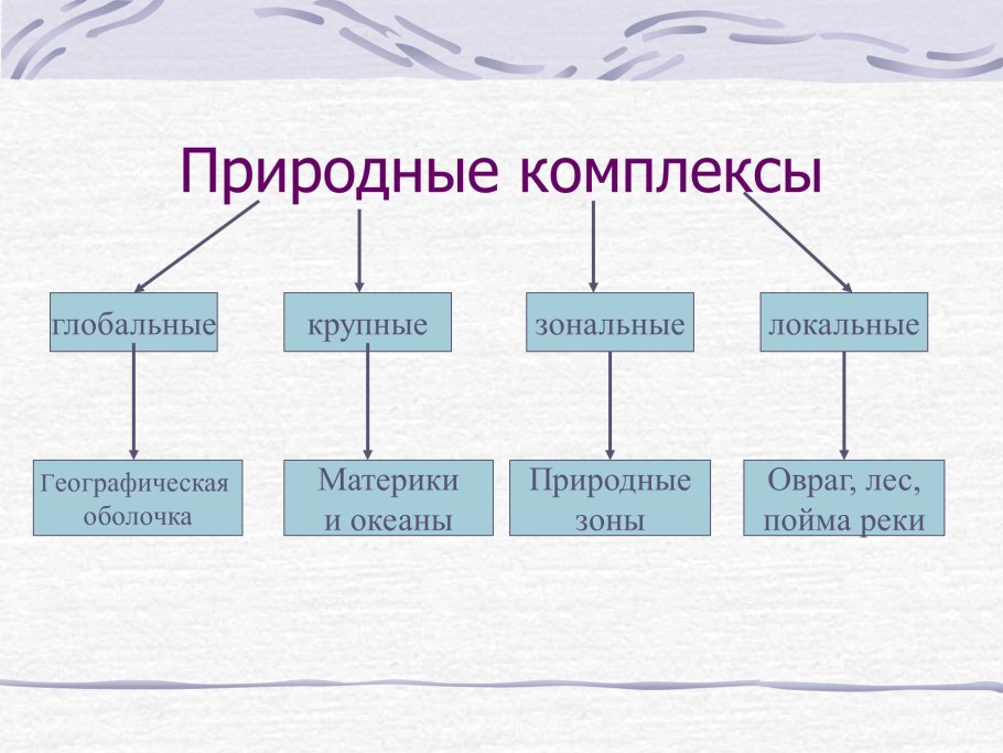 Бирюзовые организации организационная структура управления