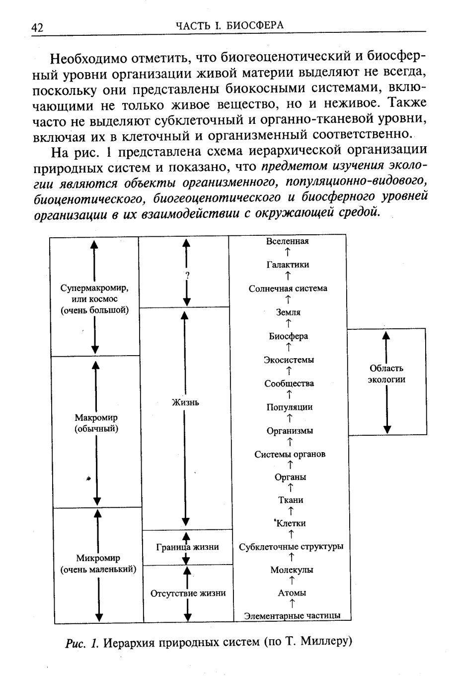 Древовидная структура файловой системы