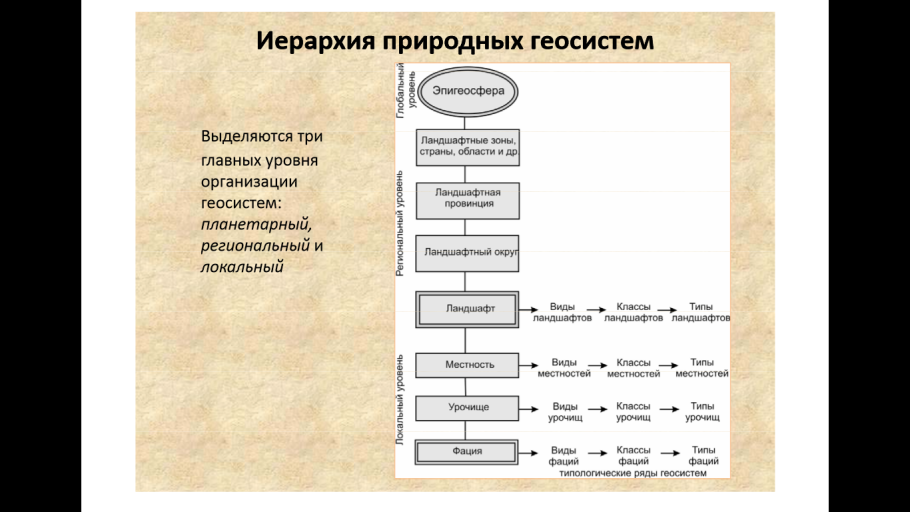 Схема иерархии геосистем